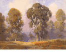 Eucalyptus Trees and Clouds<br><small>Percy Gray