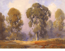Eucalyptus Trees and Clouds<br><small>Percy Gray