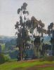 Eucalyptus Trees<br><small> Aaron Kilpatrick