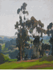 Eucalyptus Trees<br><small> Aaron Kilpatrick