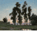 Eucalyptus Trees, Silverlake <br><small>Dedrick Brandes Stuber