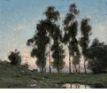 Eucalyptus Trees, Silverlake <br><small>Dedrick Brandes Stuber