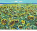 Field of Sunflowers <br><SMALL>Robert Frame