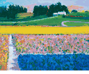 Flower Farm<br><small>Robert Frame