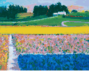 Flower Farm<br><small>Robert Frame
