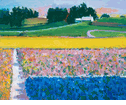 Flower Farm<br><small>Robert Frame