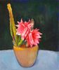 Flowering Cactus<br><small>Frederick Wight