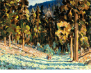 Forest Monarchs <small><br> (ERS26) </small>