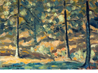 Forest Solitude<br><small>Edwin Roscoe Shrader