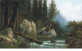 Frederick Schafer