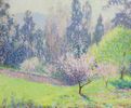 Garden with Eucalyptus Trees<br><small>William Clapp