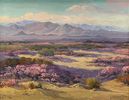Verbenas In Bloom In The Desert<br>Fred Grayson Sayre