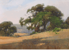 Green Oaks on Brown Hills<br><small>Percy Gray