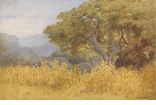 Harry Washington Seawell