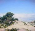 Carmel Sand Dunes<br><small>Henry J. Breuer