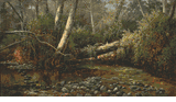 Henry Chapman Ford (1828 - 1894)