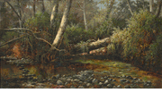 Henry Chapman Ford (1828 - 1894)