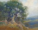 Hillside Oak<br><small>Percy Gray