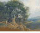 Hillside Oak<br><small>Percy Gray