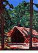 House with Trees<br><small>Conrad Buff