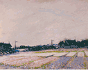 Hyacinth Fields<br><small>Joseph Morris Raphael