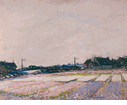 Hyacinth Fields<br><small>Joseph Morris Raphael