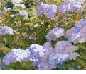 Hydrangea<br><small>Theodore Criley