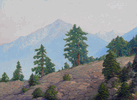 In the High Sierras<br><small>George Sherriff