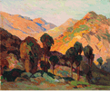 SUNSET GLOW, LATE AFTERNOON, PALM CANYON