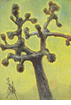 Joshua Tree I<br><small>Frederick Wight