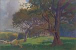 Landscape With Oak Trees<br><small>Percy Gray
