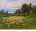 Landscape with Poppies<br><small>W.F. Jackson