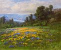 Landscape with Poppies<br><small>W.F. Jackson