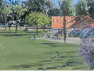 Holmby Hills Park <br><small>Larry Cohen