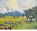 Marin Landscape <br><small> Selden Gile