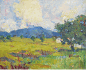 Marin Landscape <br><small> Selden Gile