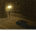 Midnight <br> <small> Feodor Zakharov