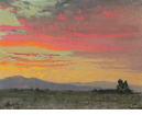 Mojave Pallette<br><small>Theodore Lukits