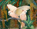 Molucca Cockatoos<br><small>Jessie Arms Botke