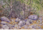 Monrovia Canyon <br><small>Norman St. Clair