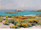 Monterey Coast in Bloom<small><br> Franz Bischoff </small>