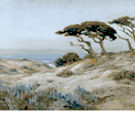 Monterey Cypress<br><small>Angel Espoy