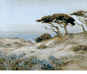 Monterey Cypress<br><small>Angel Espoy