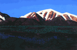 Click to enlarge