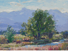 Mountain Stream, Lone Pine<small><br>Hanson Puthuff