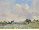 Near Elkhorn Lupine <br><small> Albert Thomas de Rome