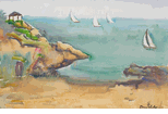 Newport Harbor<br><small>Donna Schuster