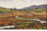 Olema Marsh<br><SMALL>John Comer</SMALL></font>