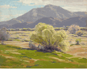 Palm Springs Desert Scene<br><small>Sam Hyde Harris