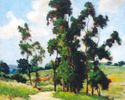 Path Through the Trees<br><small>Dedrick Brandes Stuber